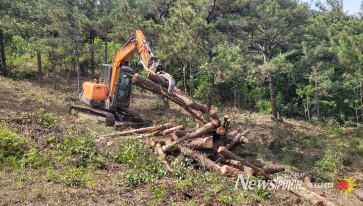 기후위기 대응 ‘산불에 강한 숲 가꾸기’ 사업