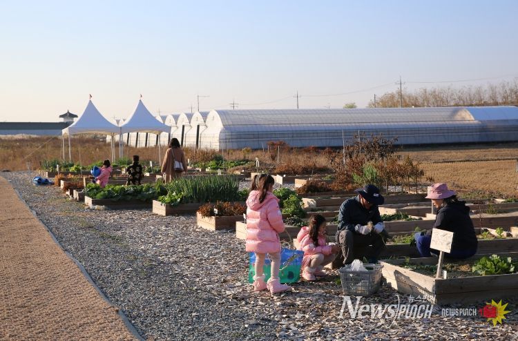 2026년도 도시농업 체험농장 도란도란 회원모집