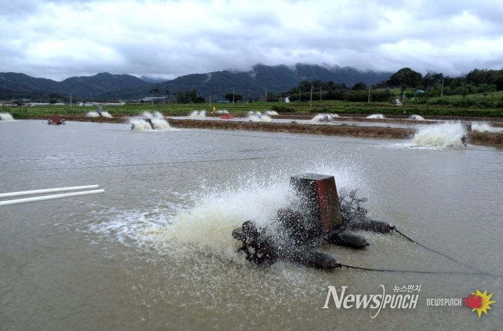 “내수면 양식생물 입식·출하,