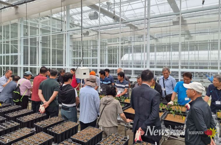 임산물 접·삽목 실습