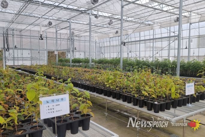 ‘디지털 기반 산림자원 원물 양성화’ 공모사업