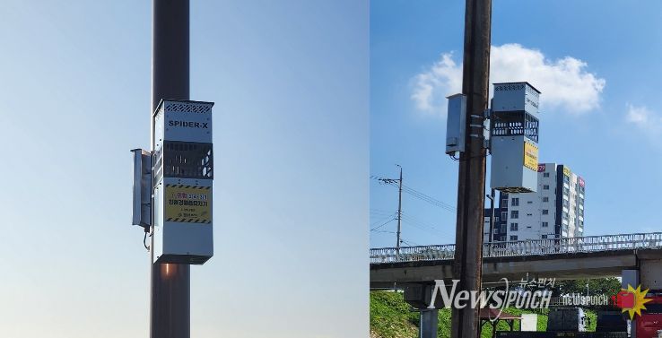 금창교 일원에 설치된 포충기