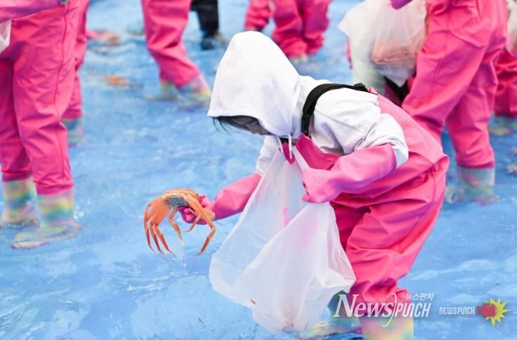2025년 제28회 영덕대게축제 어린이 게판 체험 프로그램.