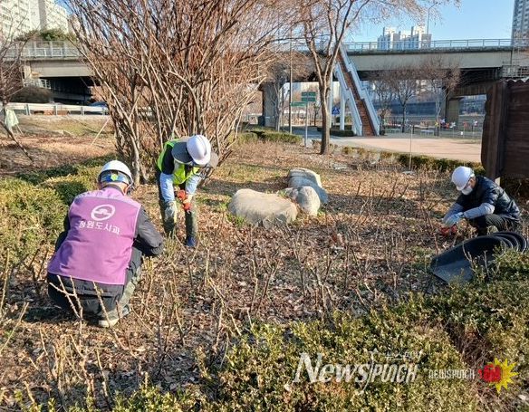 5월 장미 개화 앞두고 중랑천 장미 집중 관리