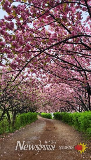 완산공원 꽃동산 방문객 맞이 채비 ‘착착’