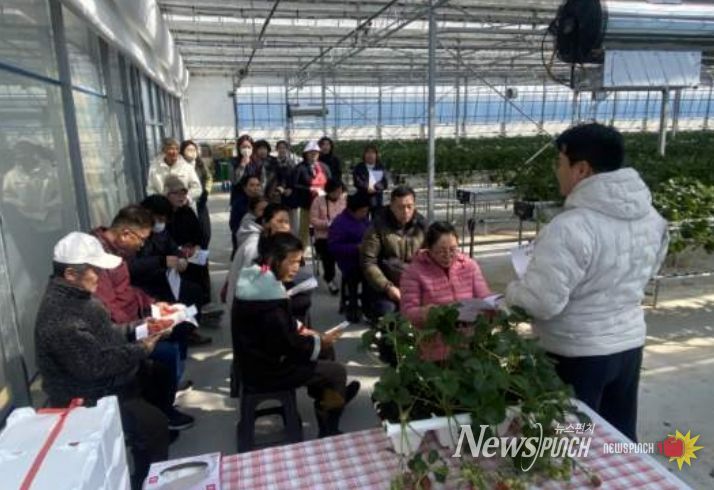 진도군정신건강복지센터, 달콤한 딸기농장 체험으로 마음까지 힐링