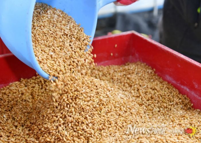 못자리 현장점검