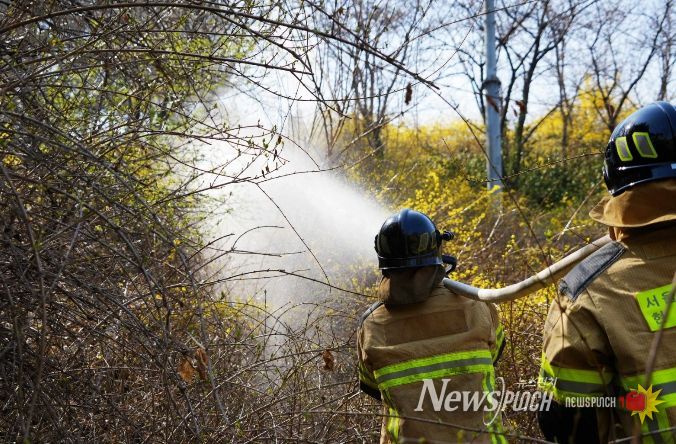 지난해 산불 진화 훈련