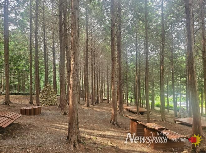 ‘지붕 없는 미술관’ 고흥으로 떠나는 봄맞이 3색 트레킹 - 팔영산 편백치유의 숲