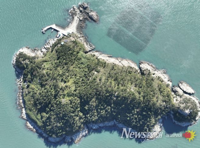 노화읍 대제원도 전경