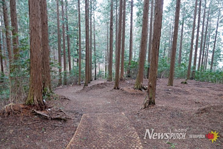 고창치유의숲(출처_마케팅센터)