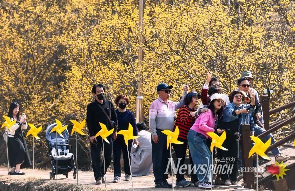 의성군, 제19회 산수유마을 꽃맞이행사 성료