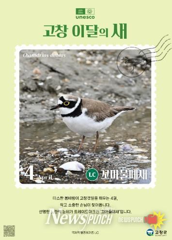 고창갯벌 이달의 새(4월)_꼬마물떼새 홍보 이미지