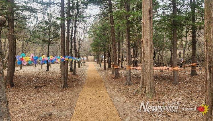 충북도, 자연학습원 ‘숲생태정원’ 본격 개방