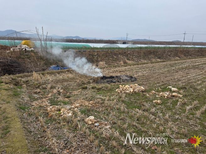 농촌지역 불법 소각 집중 단속 산불위기경보 ‘경계’ 격상