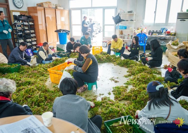 울릉군 농촌일손돕기 본격 추진
