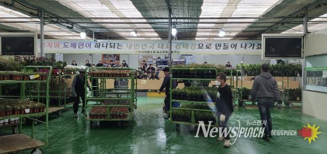 음성화훼유통센터 누적 경매 실적 2000억원 달성
