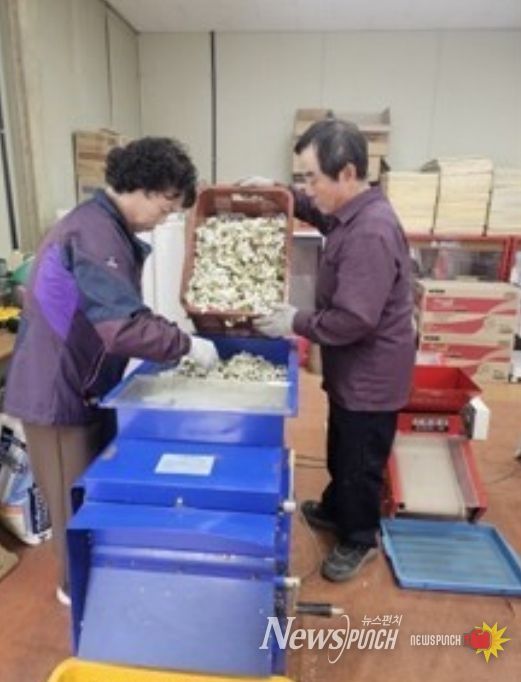 꽃가루 채취 사진