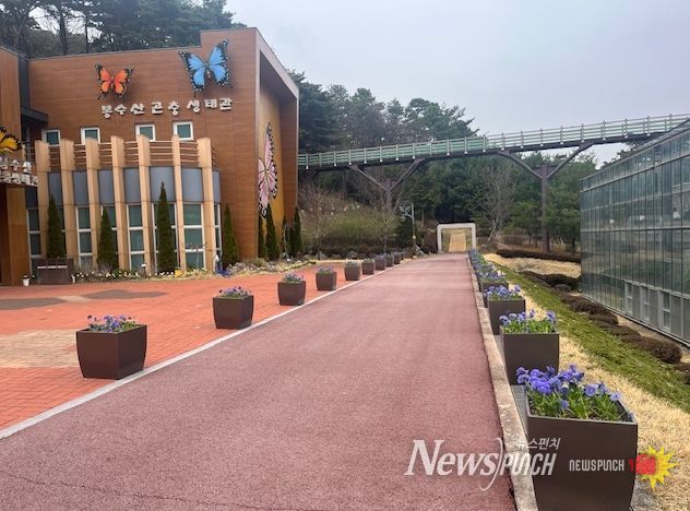 봉수산자연휴양림 봄꽃 사진