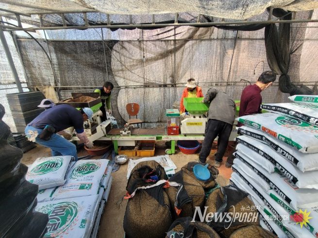 1. 지난해 천안시 병천면 수도작 농가 파종 작업 모습