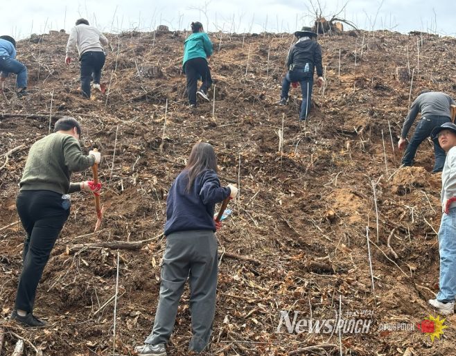 영동군, 제81회 식목일 나무 심기 행사
