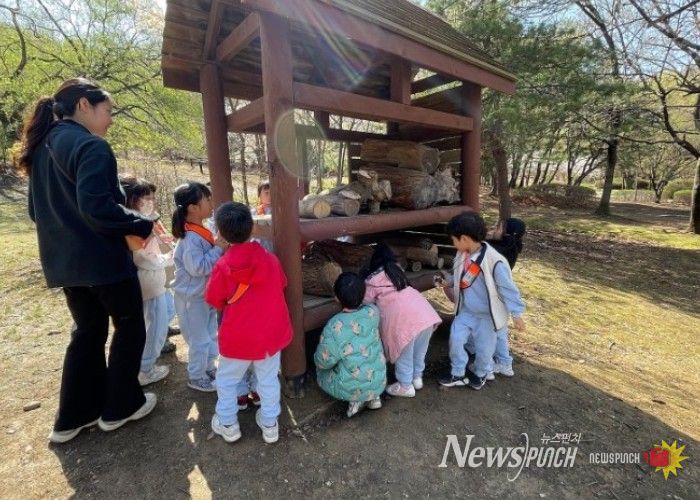 유아숲 교육 프로그램