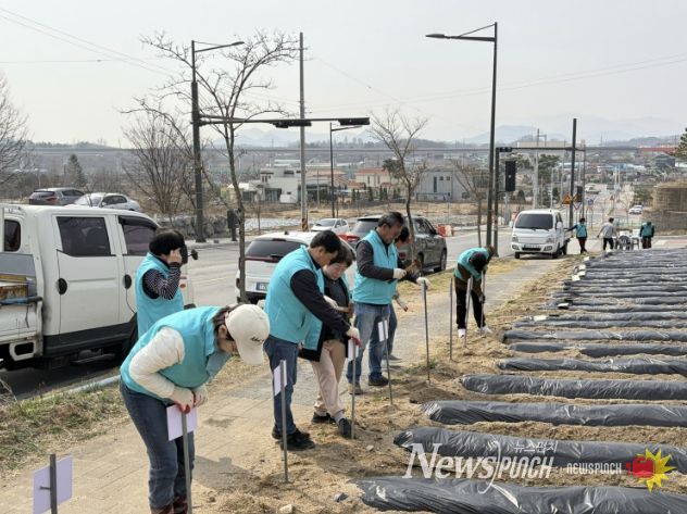 사랑의 텃밭 사진
