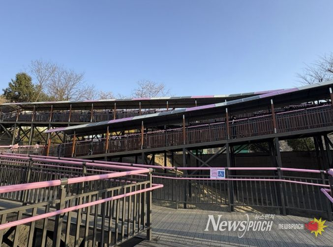 원미산 진달래동산 ‘무장애 데크로드’ 조성 모습