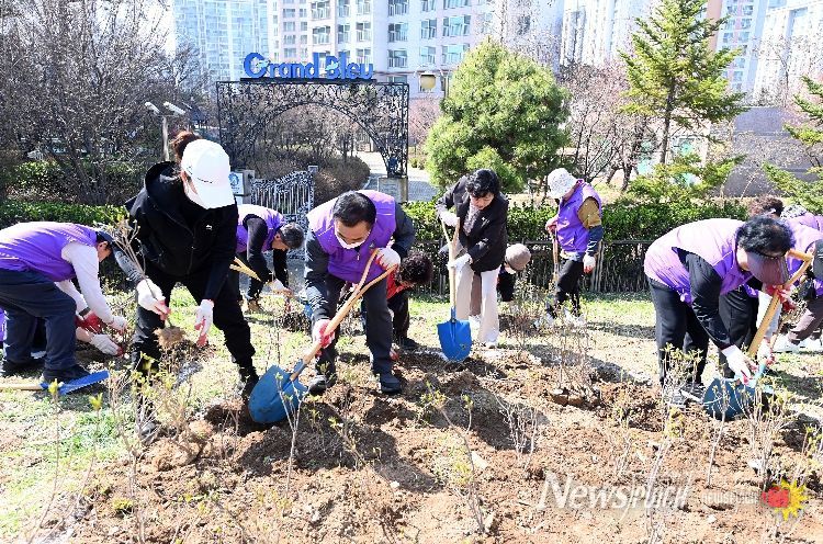 제81회 부평구 식목일 나무심기 행사