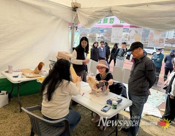 정읍시, 벚꽃축제서 유기동물 입양 홍보 운동