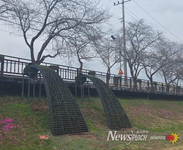 금산천 데크로 꽃폭포