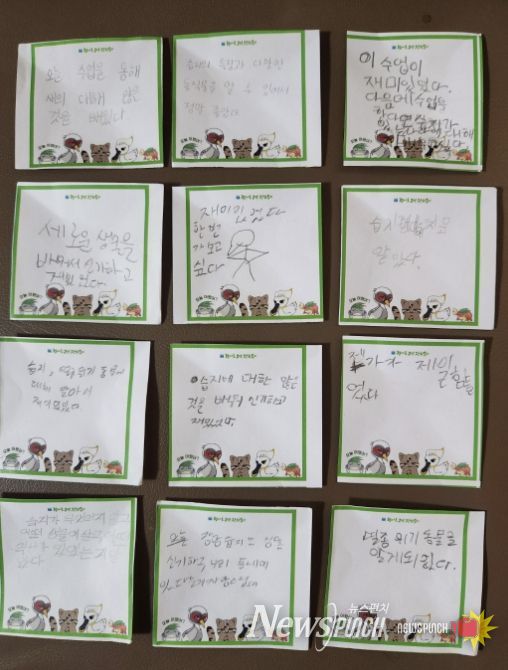 다솜초등학교 학생들이 남긴 교육 후기
