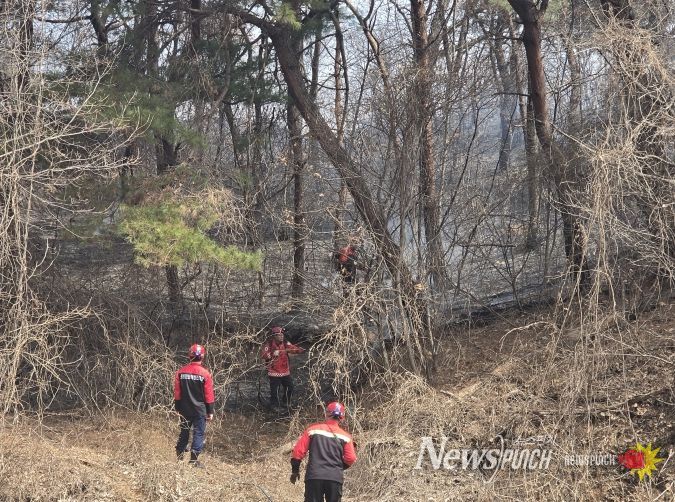 산불 진화 현장