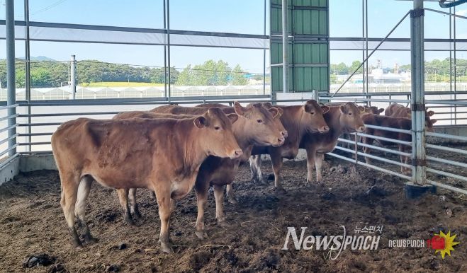 여름철 재해 대비 축사 시설 선제 점검