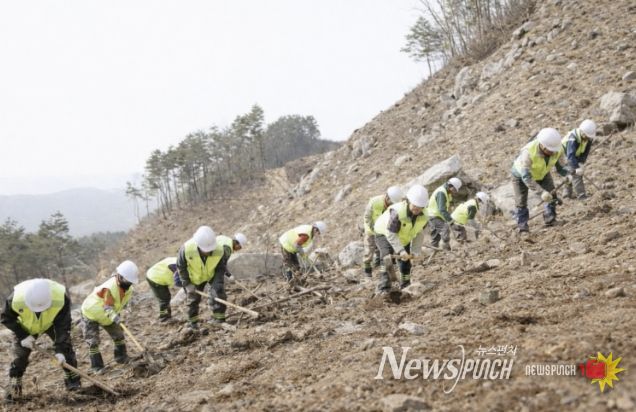 거창군, 2026년 춘기 조림사업 적기 추진 완료