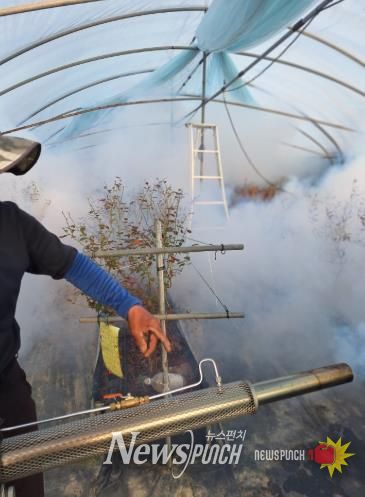 담양군, 봄철 ‘마을 일제 방역’ 총력… 해충 조기 박멸 나선다