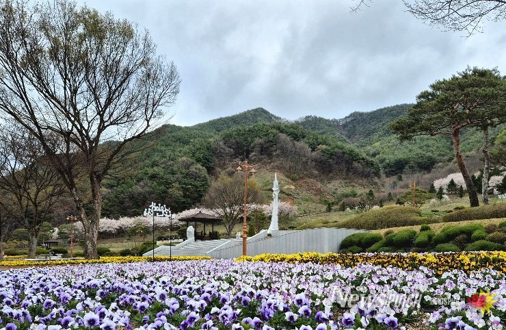 거창사건추모공원, 봄꽃으로 물들다