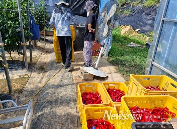 귀농, 살아보고 결정하세요! ‘거창군, 농촌에서 살아보기 참가자 모집’