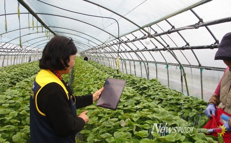 금산군농업기술센터 소속 농작업 안전관리관들이 농가 대상 현장 안전점검에 나서고 있다.