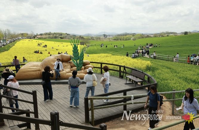 '봄의 기억, 길 위에 남다' 제23회 고창 청보리밭축제, 이번주 토요일(18일) 개막